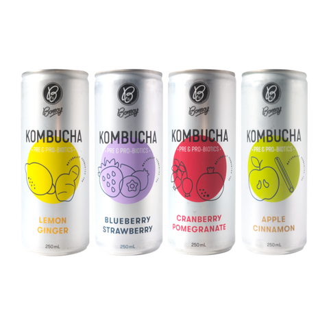 Bonsoy Kombucha (Box of 12)