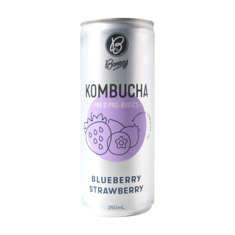 Bonsoy Kombucha (Box of 12)