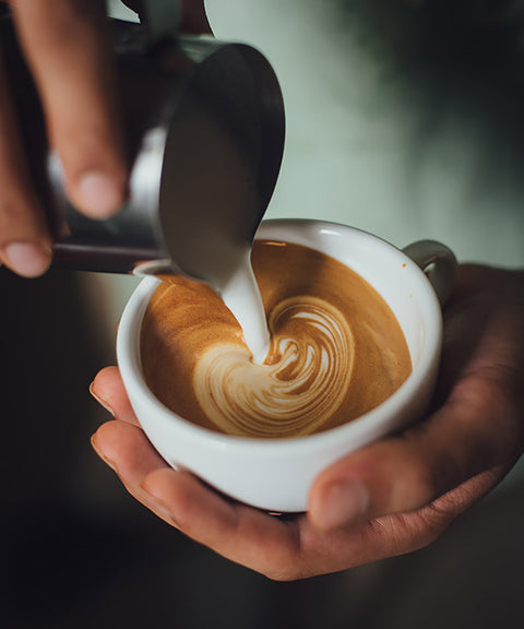 Barista Training